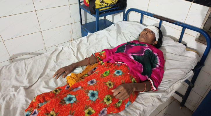 বিধবা নারীকে কুপিয়ে জমি দখলের চেষ্টার অভিযোগ